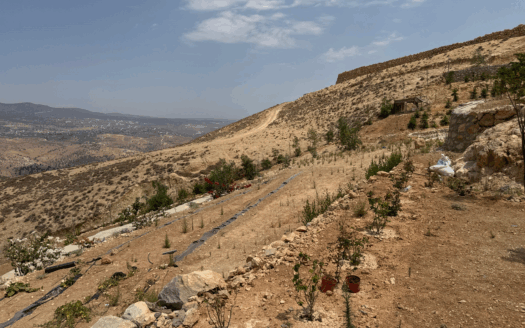 Distinguished Farm For Sale In Tal al Rumman /North Of Amman 